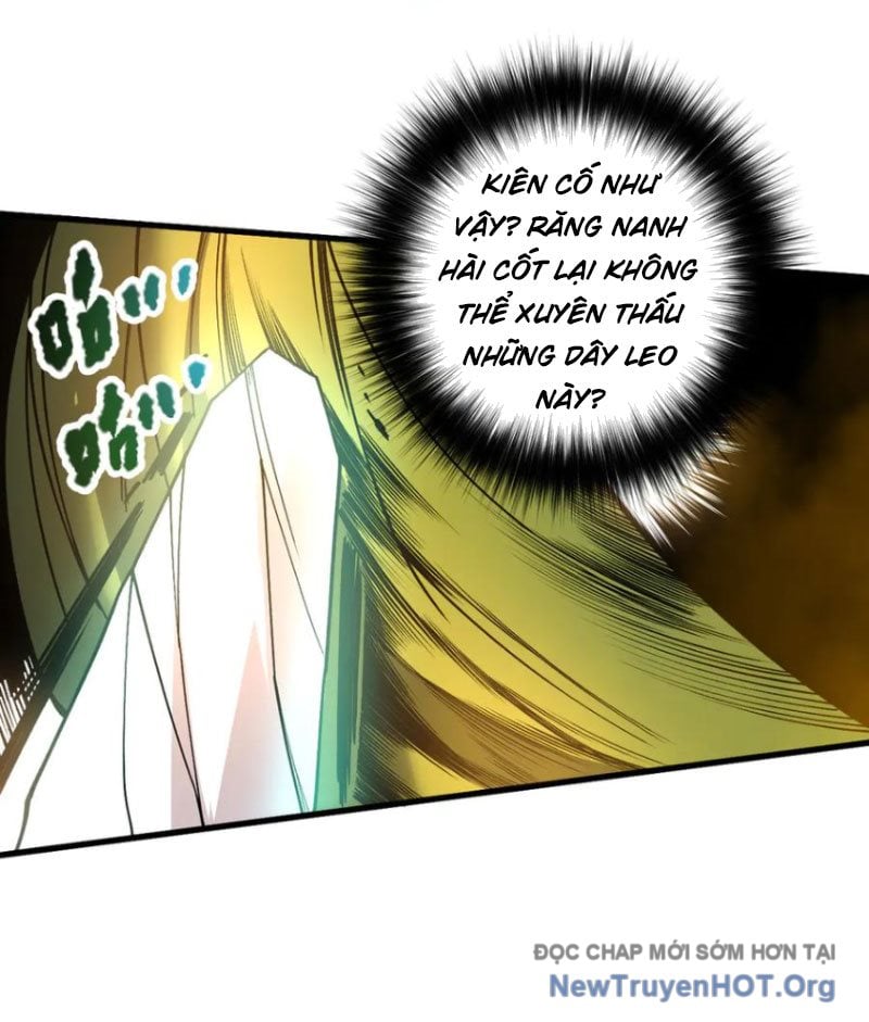 Thảm Họa Tử Linh Sư: Chapter 208