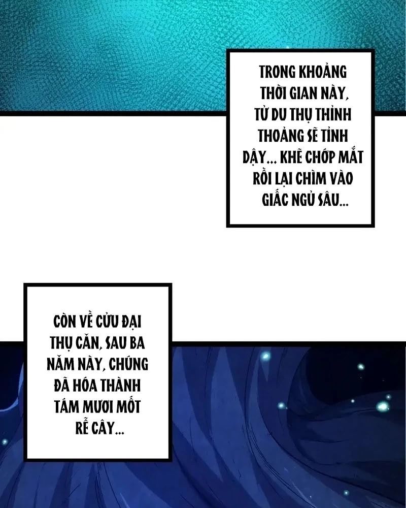 Thăng cấp bắt đầu từ một cái cây: Chapter 174