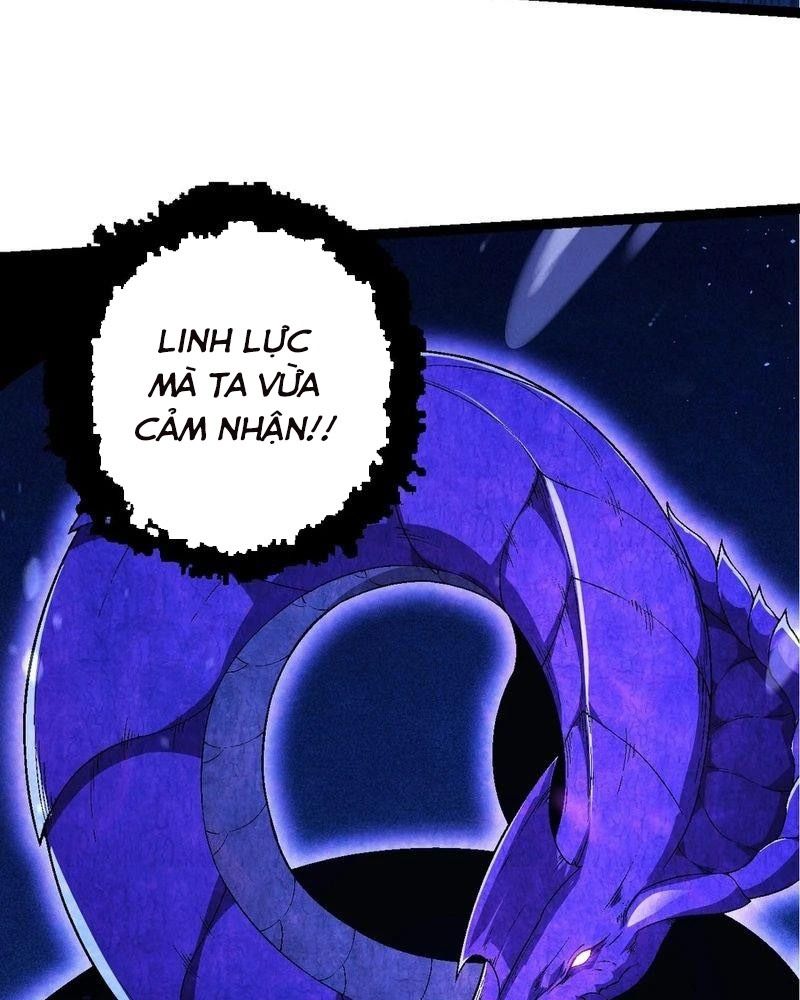 Thăng cấp bắt đầu từ một cái cây: Chapter 201