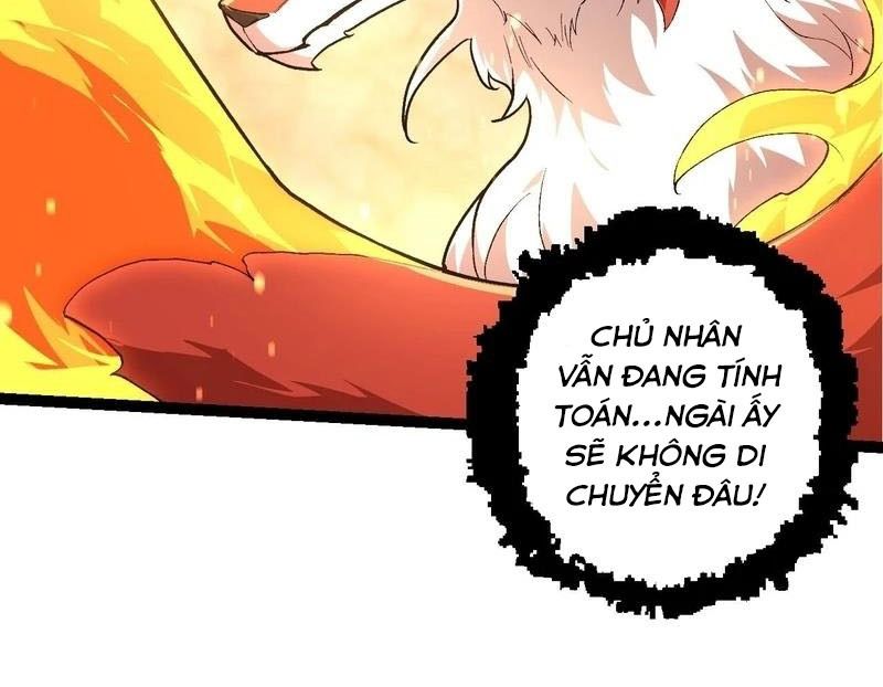Thăng cấp bắt đầu từ một cái cây: Chapter 207
