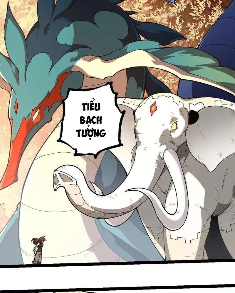 Thăng cấp bắt đầu từ một cái cây: Chapter 242