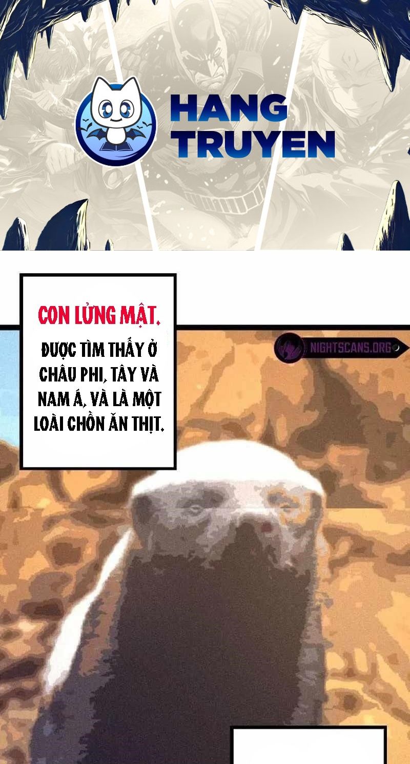 Thăng cấp bắt đầu từ một cái cây: Chapter 26