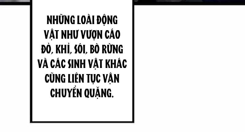 Thăng cấp bắt đầu từ một cái cây: Chapter 28