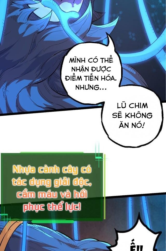 Thăng cấp bắt đầu từ một cái cây: Chapter 3