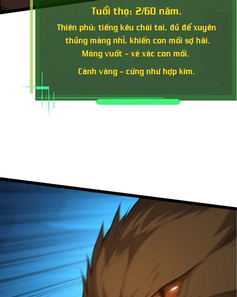 Thăng cấp bắt đầu từ một cái cây: Chapter 4