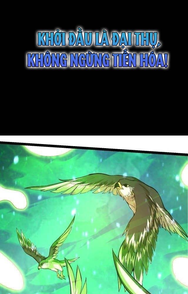 Thăng cấp bắt đầu từ một cái cây: Chapter 6