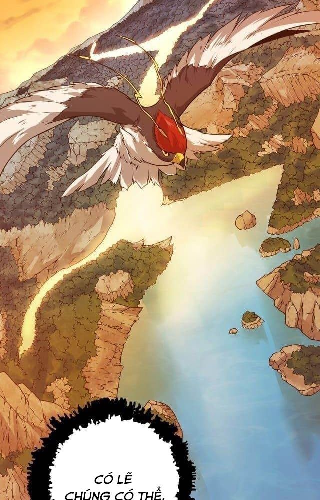 Thăng cấp bắt đầu từ một cái cây: Chapter 6