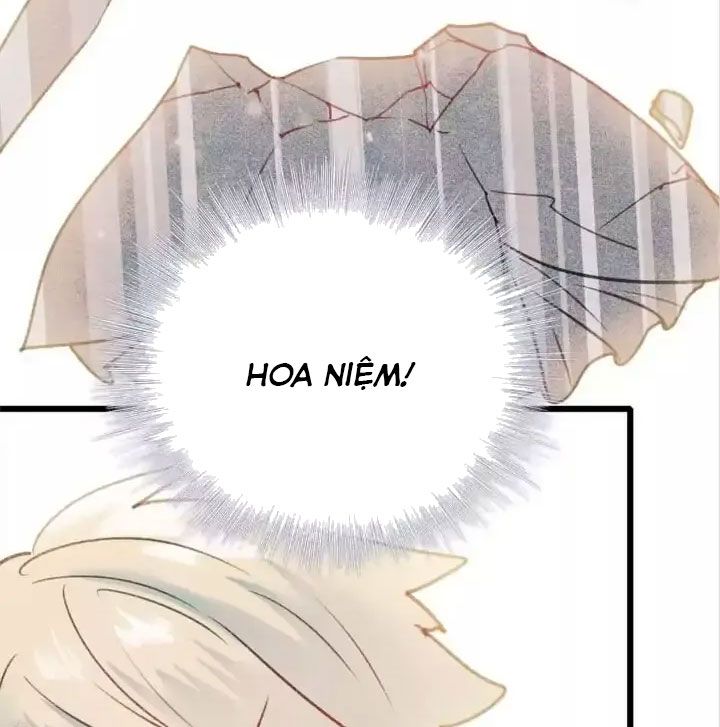 Thành Bại Vì Tiêu Hà: Chapter 24