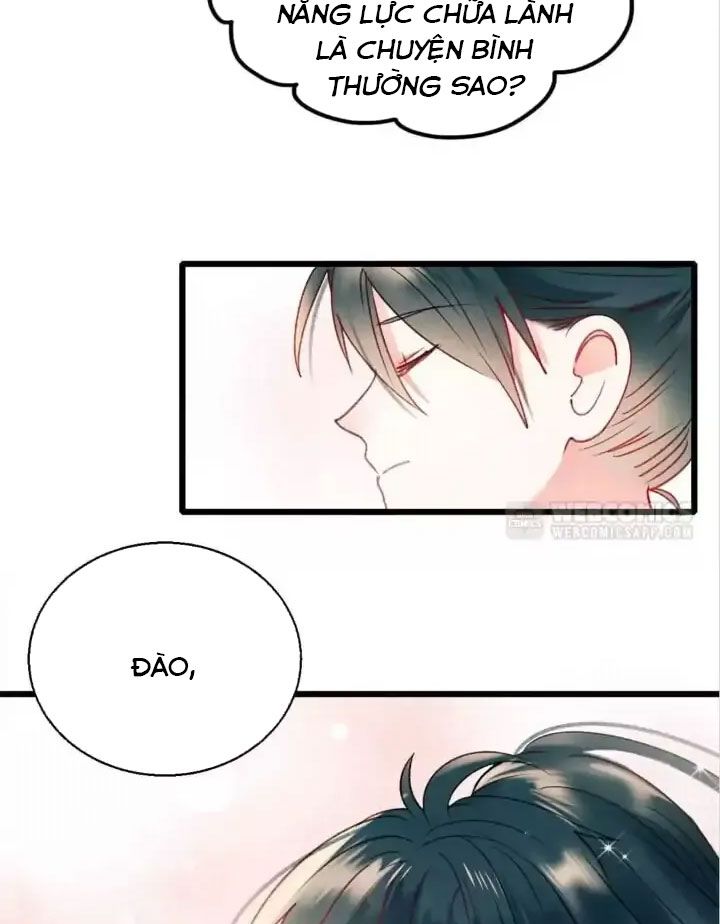 Thành Bại Vì Tiêu Hà: Chapter 24