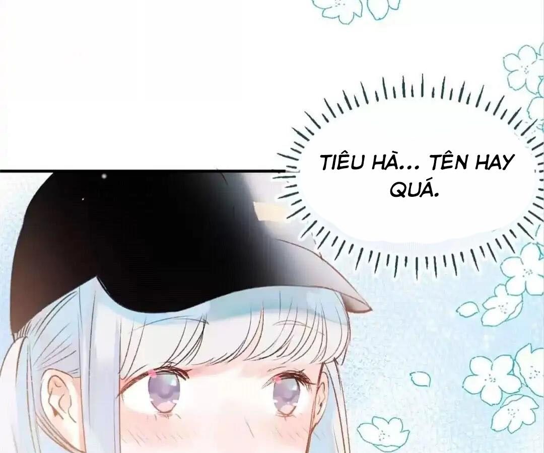 Thành Bại Vì Tiêu Hà: Chapter 33