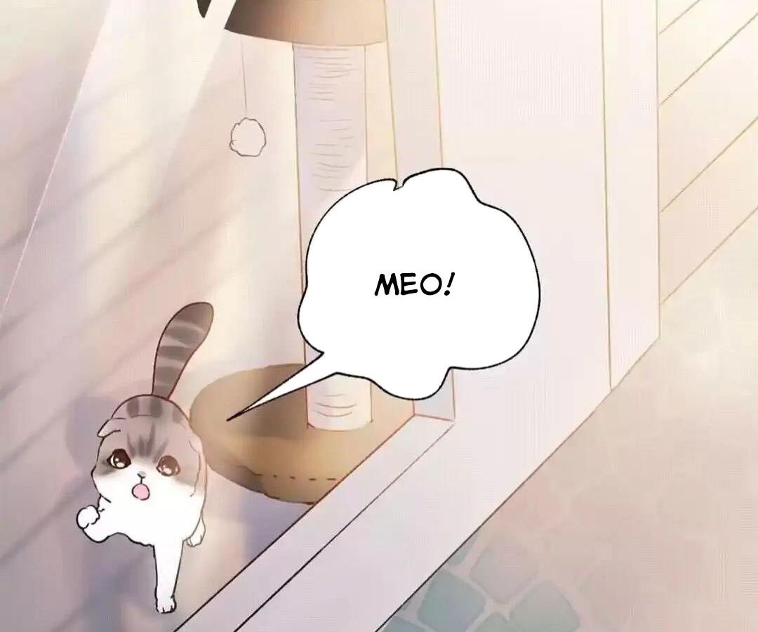 Thành Bại Vì Tiêu Hà: Chapter 34