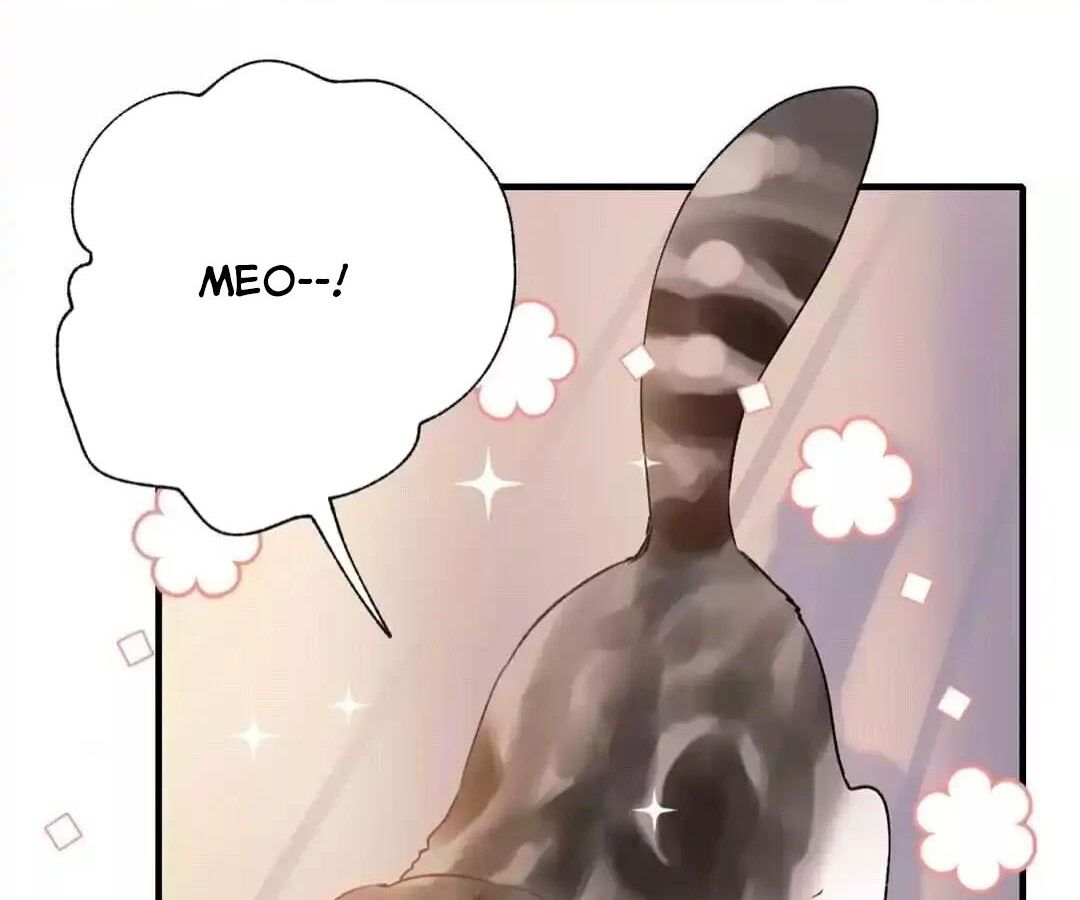 Thành Bại Vì Tiêu Hà: Chapter 34