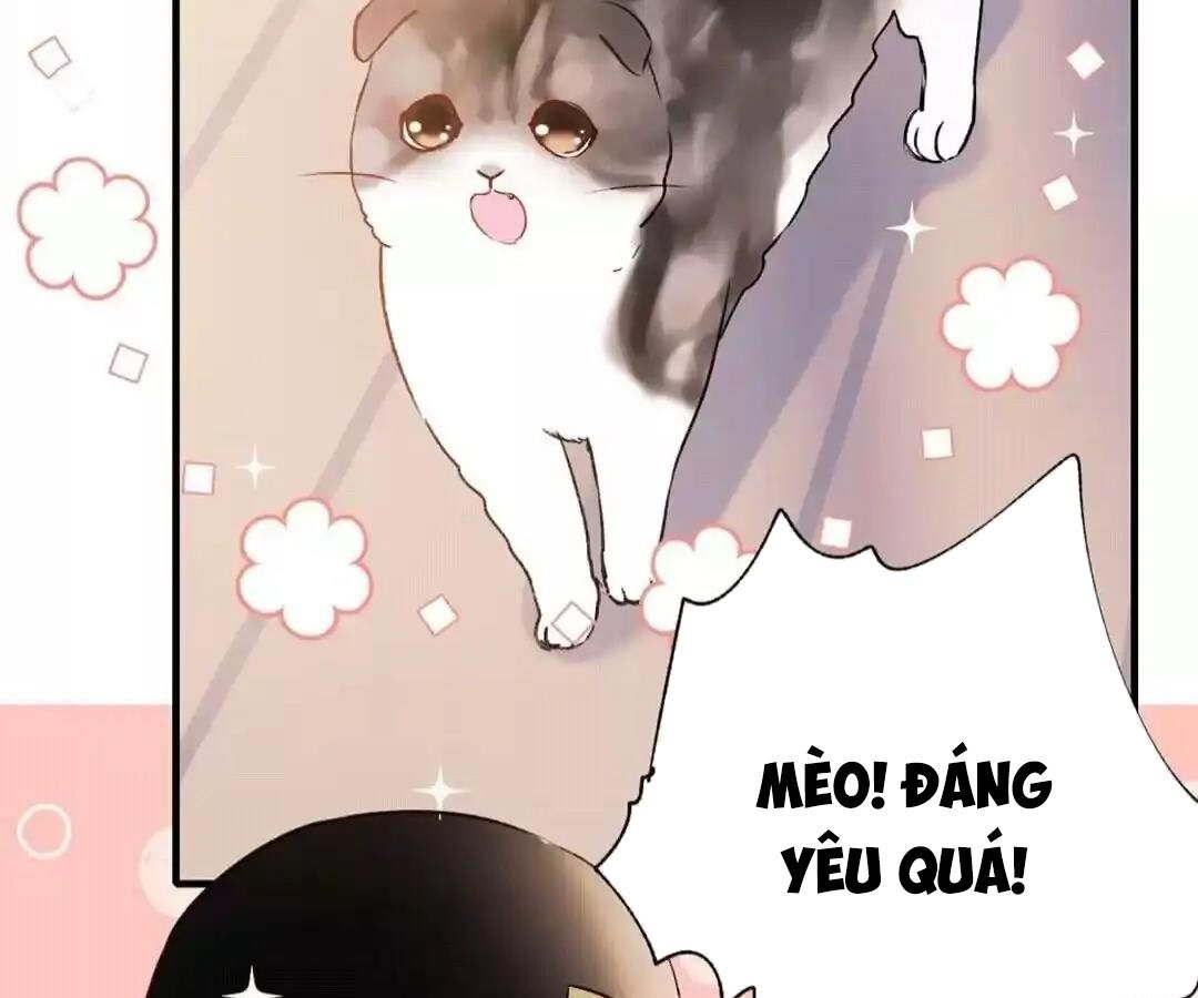 Thành Bại Vì Tiêu Hà: Chapter 34