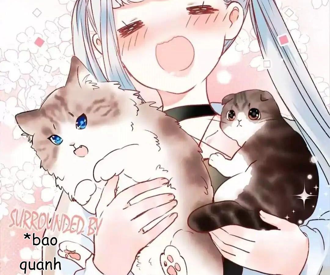 Thành Bại Vì Tiêu Hà: Chapter 34