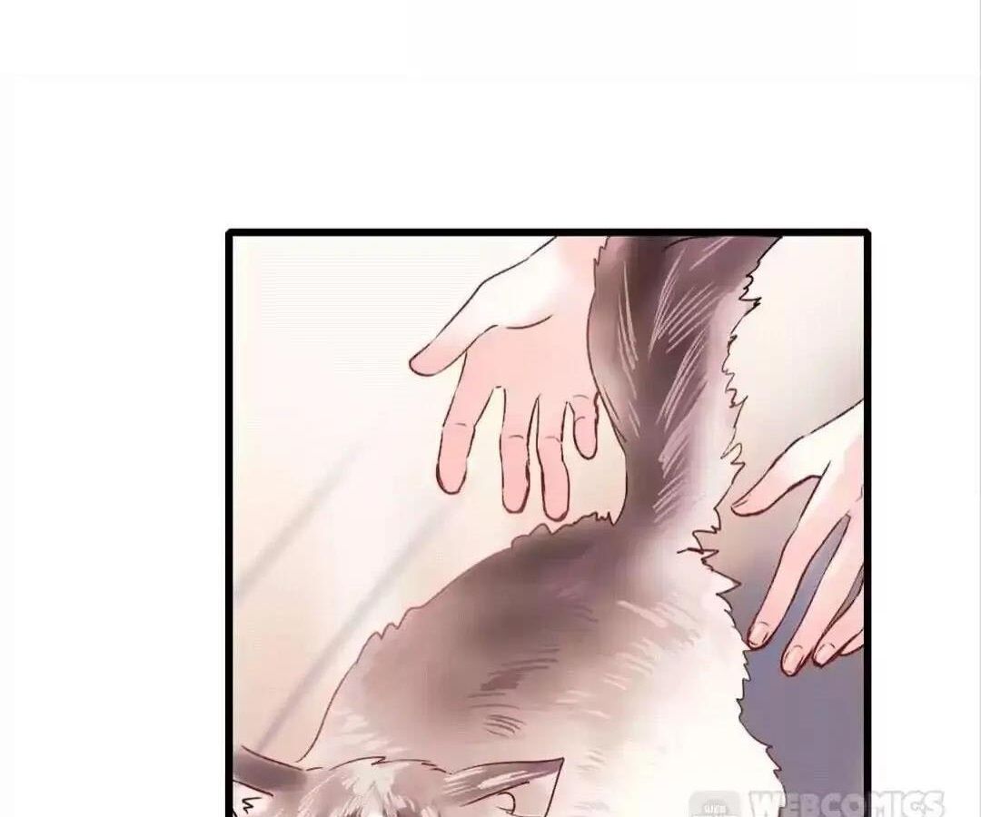 Thành Bại Vì Tiêu Hà: Chapter 34