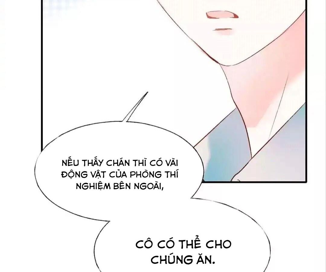 Thành Bại Vì Tiêu Hà: Chapter 41