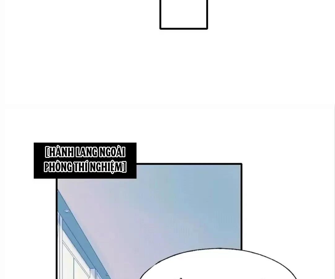 Thành Bại Vì Tiêu Hà: Chapter 41