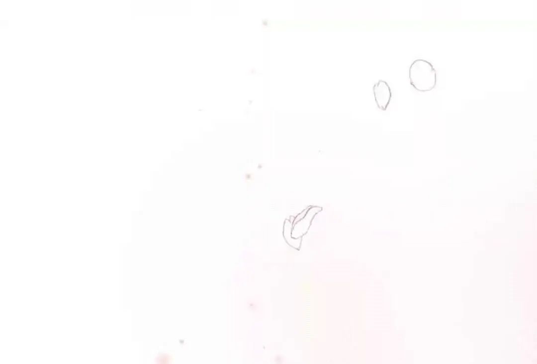 Thành Bại Vì Tiêu Hà: Chapter 53