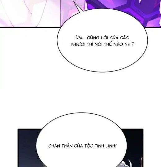 Thánh Nữ, Xin Hãy Dừng Ngay Những Trò Quái Đản Của Cô Đi!!: Chapter 112
