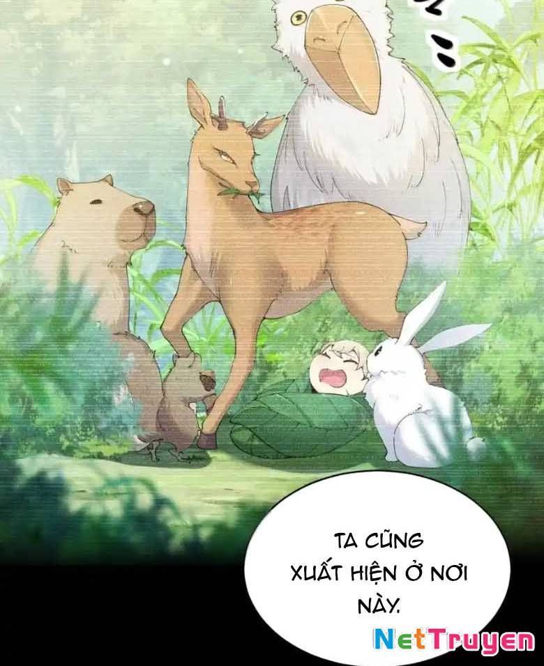 Thánh Nữ, Xin Hãy Dừng Ngay Những Trò Quái Đản Của Cô Đi!!: Chapter 123