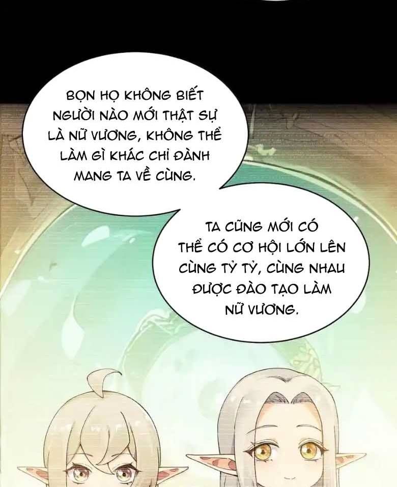 Thánh Nữ, Xin Hãy Dừng Ngay Những Trò Quái Đản Của Cô Đi!!: Chapter 123
