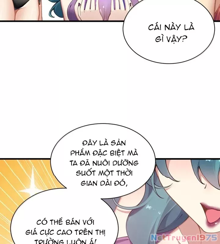 Thánh Nữ, Xin Hãy Dừng Ngay Những Trò Quái Đản Của Cô Đi!!: Chapter 130