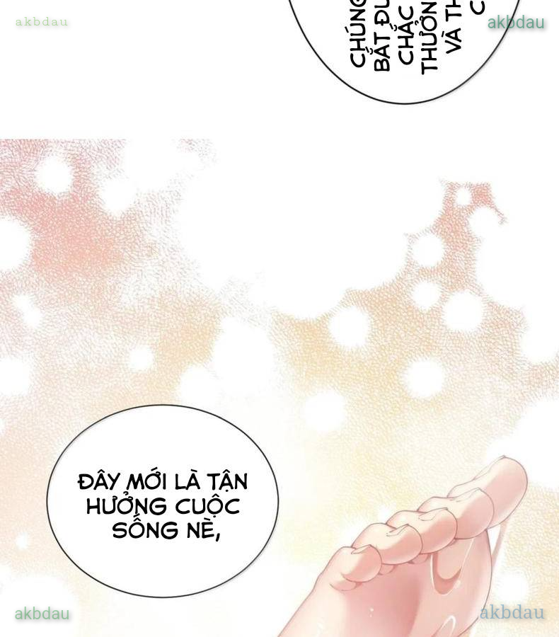 Thánh Nữ, Xin Hãy Dừng Ngay Những Trò Quái Đản Của Cô Đi!!: Chapter 138