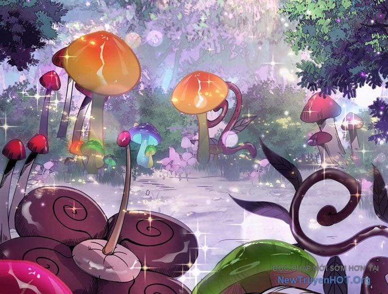 Thập Hoang Chi Vương: Chapter 6