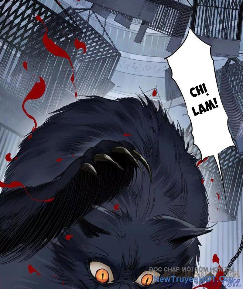 Thế Giới Vô Tội: Chapter 6
