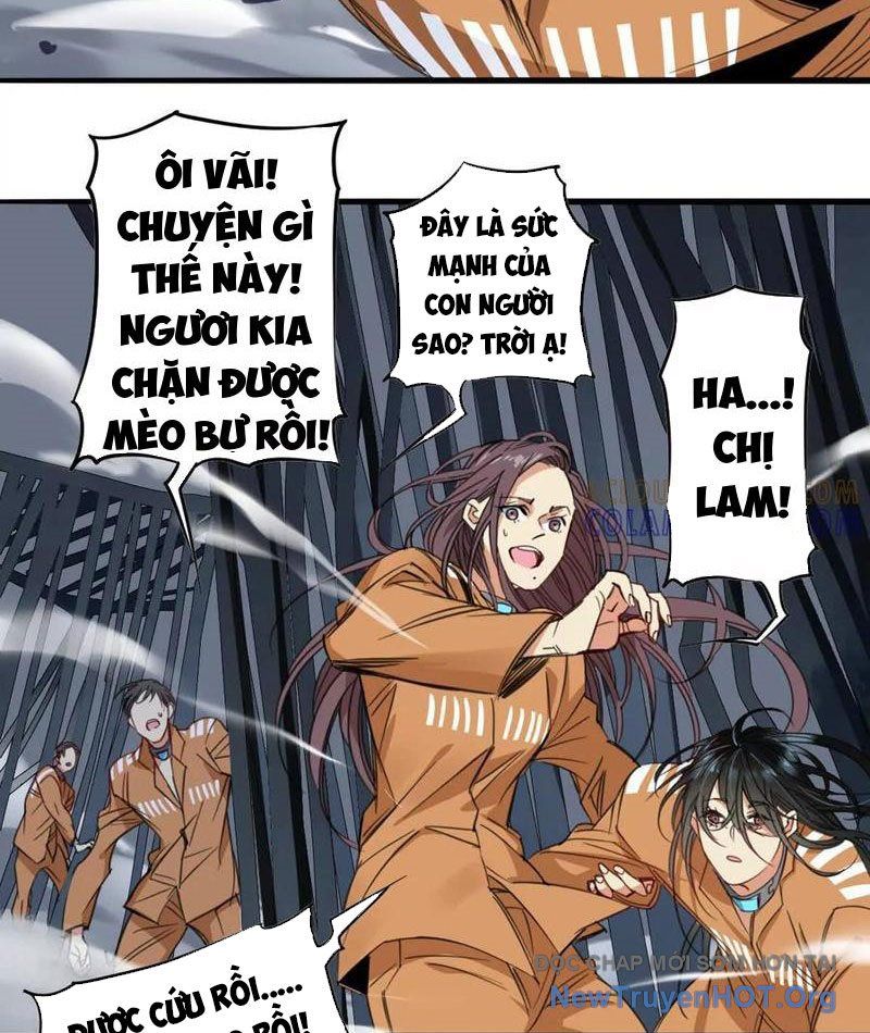 Thế Giới Vô Tội: Chapter 6