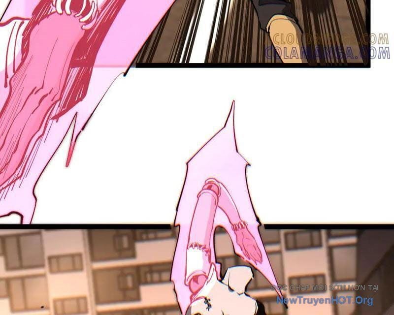 Thích Khách Thần Cấp, Ta Chính Là Bóng Đêm: Chapter 43