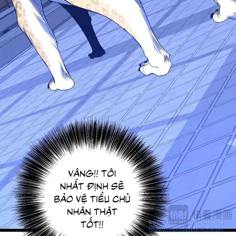 Thiên Phú Của Ngươi, Giờ Là Của Ta: Chapter 102