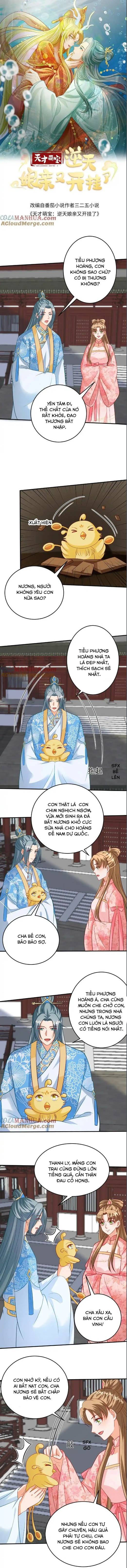 Thiên Tài Manh Bảo , Mẫu Thân Nghịch Thiên Bật Hack Rồi!: Chapter 142