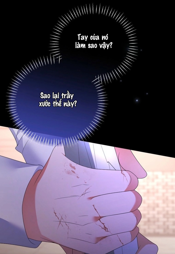 Thiếu Nữ Bị Ruồng Bỏ: Kế Hoạch Báo Thù Của Gia Tộc Pháp Sư: Chapter 27