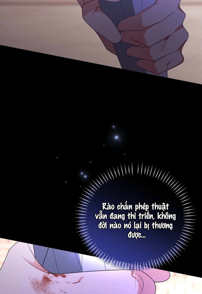 Thiếu Nữ Bị Ruồng Bỏ: Kế Hoạch Báo Thù Của Gia Tộc Pháp Sư: Chapter 27