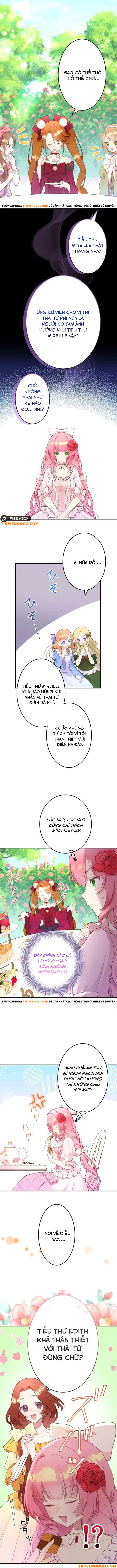Thủ Quỹ Quá Bận Rộn Với Công Việc Để Yêu: Chapter 4