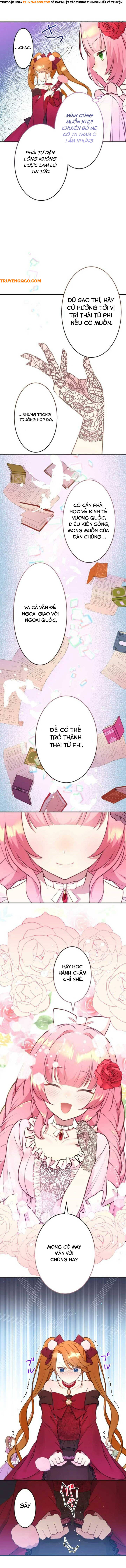 Thủ Quỹ Quá Bận Rộn Với Công Việc Để Yêu: Chapter 4