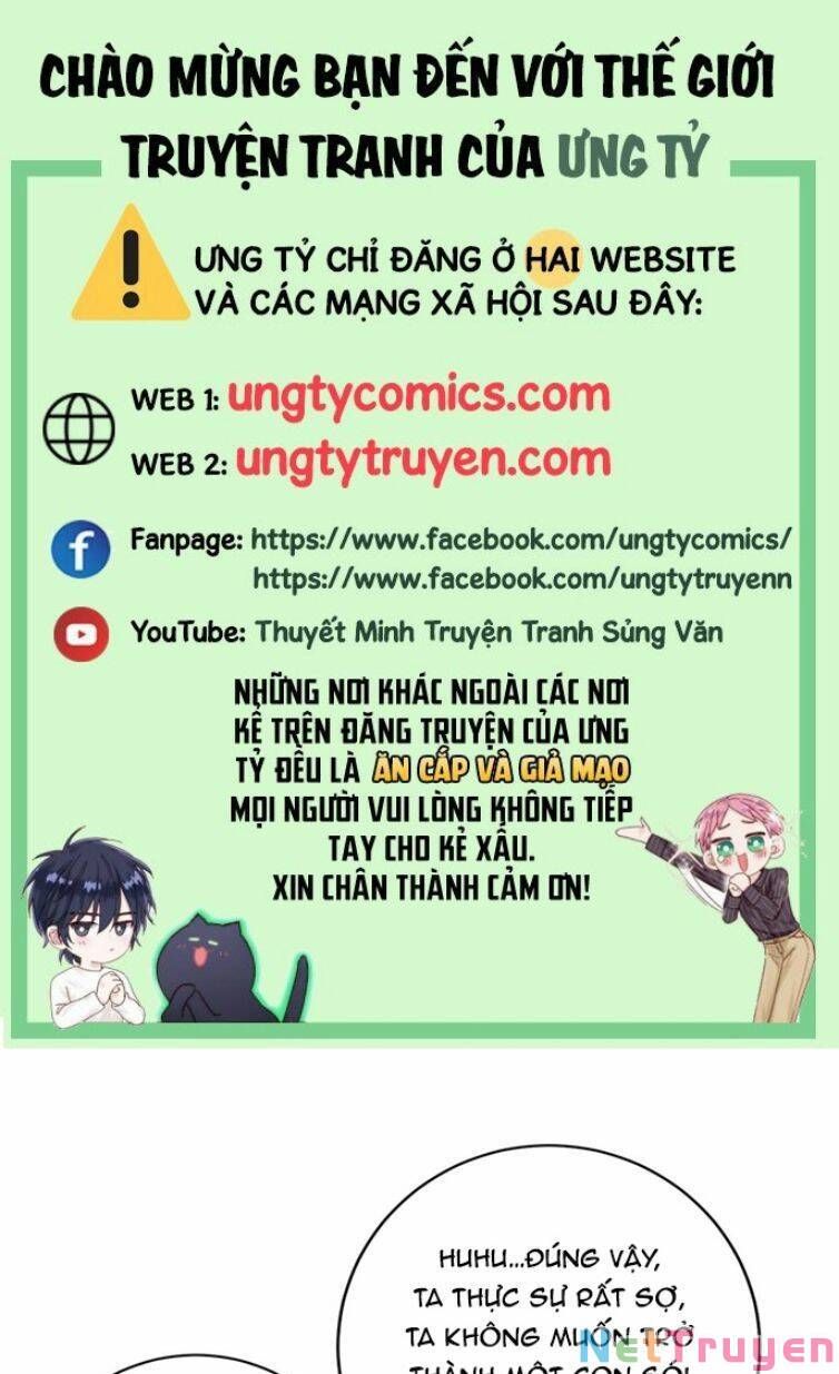Thú Thụ Bất Thân Dẫn Sói Vào Nhà: Chapter 117