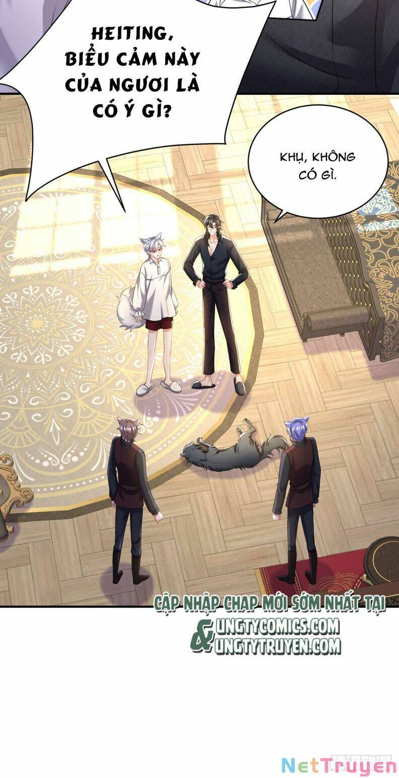 Thú Thụ Bất Thân Dẫn Sói Vào Nhà: Chapter 117