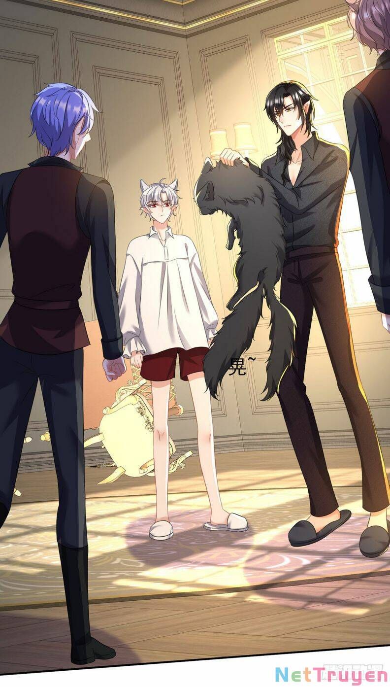 Thú Thụ Bất Thân Dẫn Sói Vào Nhà: Chapter 117