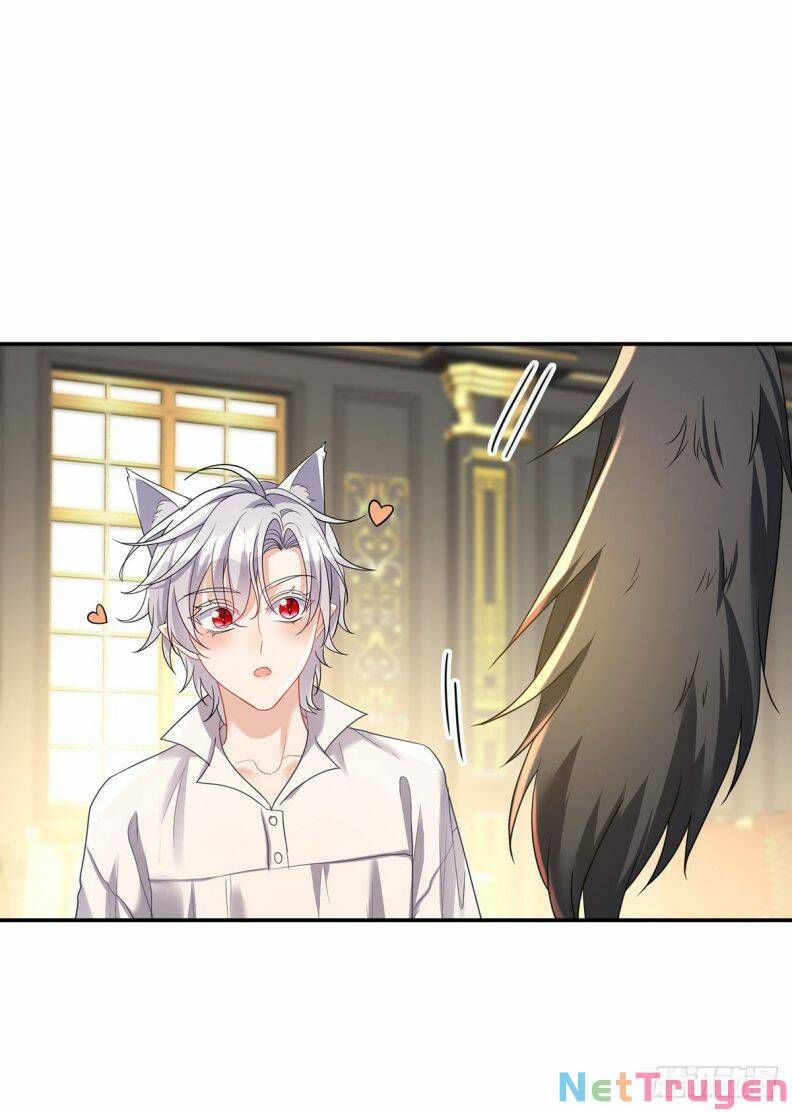 Thú Thụ Bất Thân Dẫn Sói Vào Nhà: Chapter 117