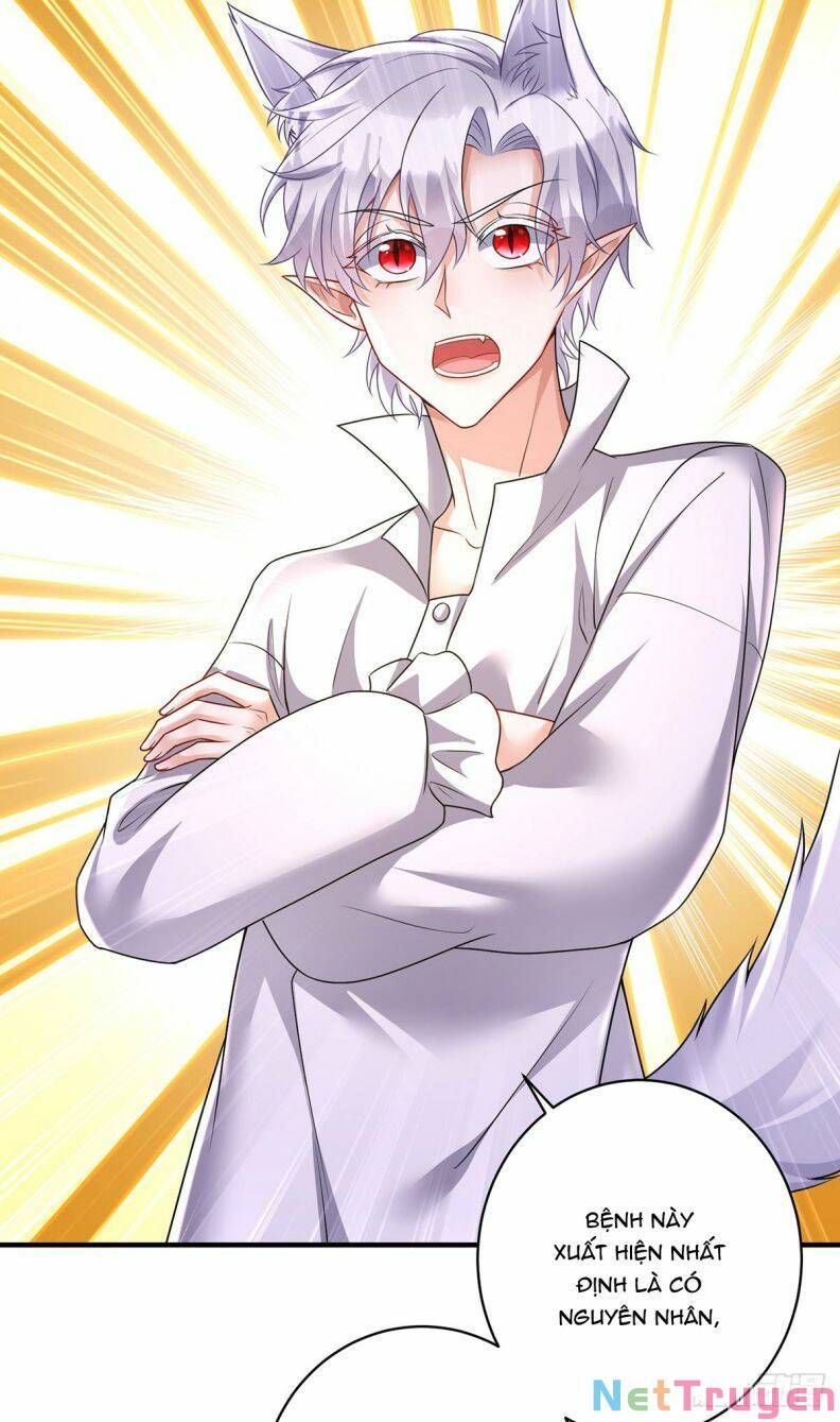 Thú Thụ Bất Thân Dẫn Sói Vào Nhà: Chapter 117