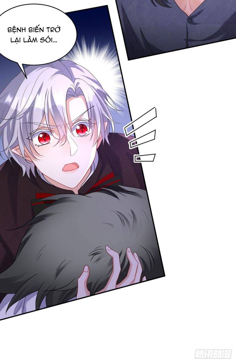 Thú Thụ Bất Thân Dẫn Sói Vào Nhà: Chapter 118