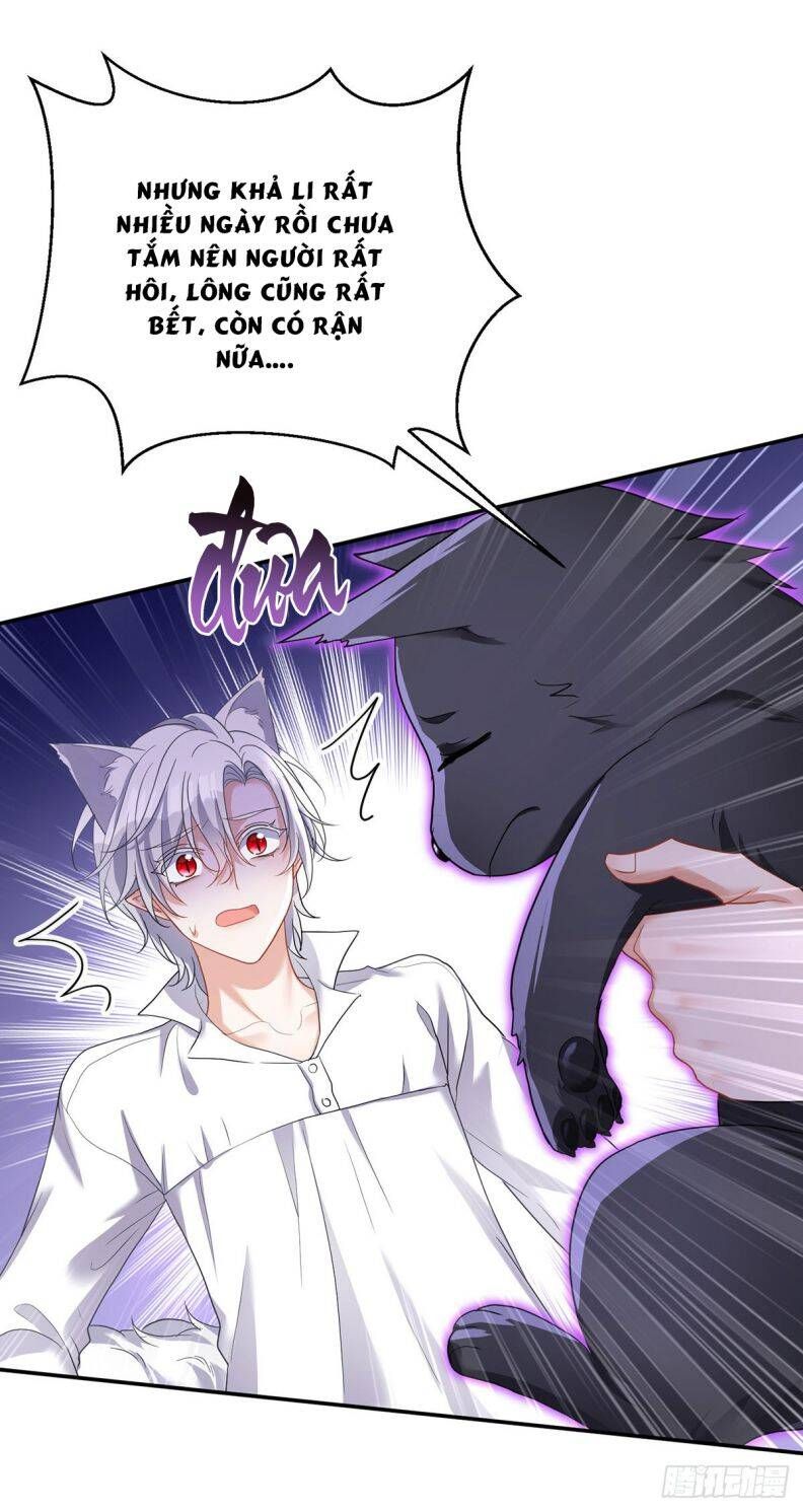 Thú Thụ Bất Thân Dẫn Sói Vào Nhà: Chapter 118
