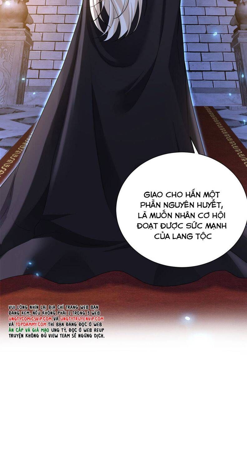 Thú Thụ Bất Thân Dẫn Sói Vào Nhà: Chapter 147