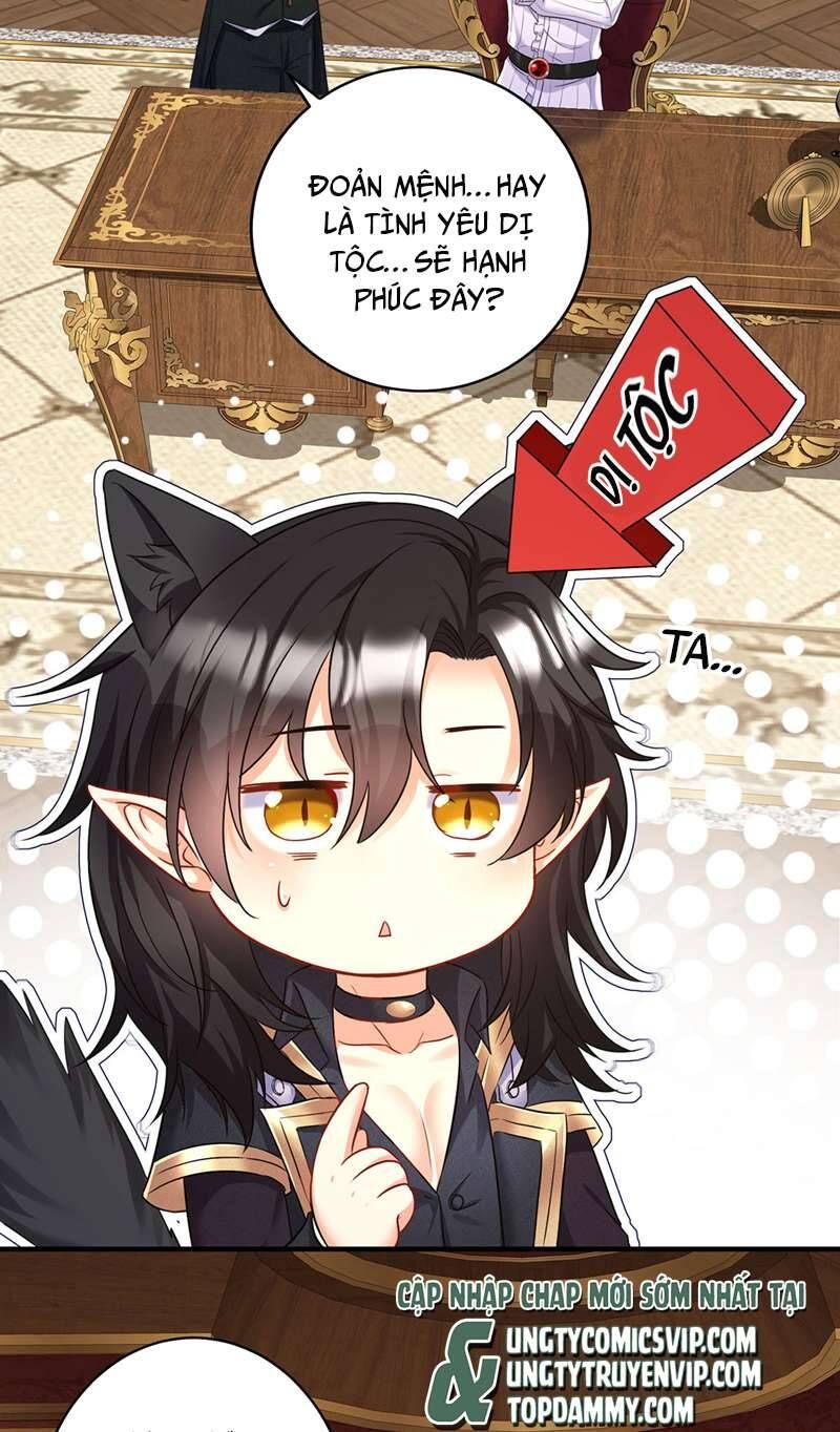 Thú Thụ Bất Thân Dẫn Sói Vào Nhà: Chapter 161