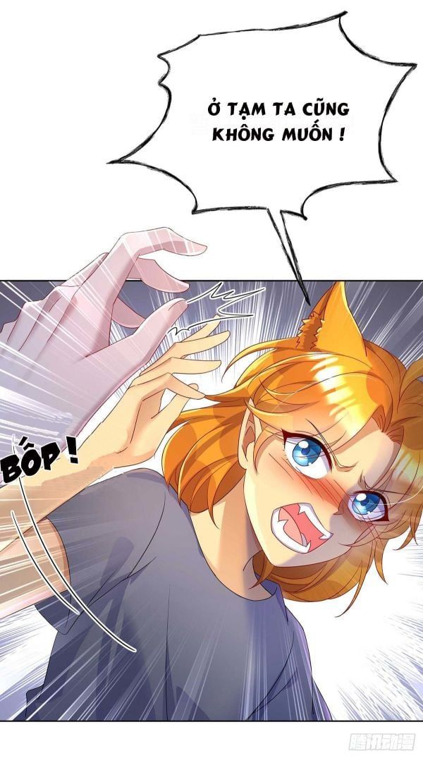 Thú Thụ Bất Thân Dẫn Sói Vào Nhà: Chapter 19