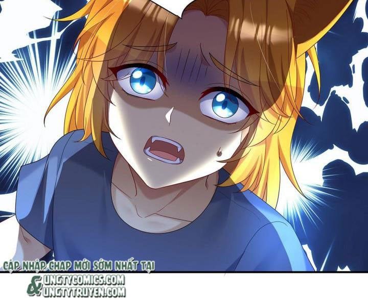 Thú Thụ Bất Thân Dẫn Sói Vào Nhà: Chapter 70