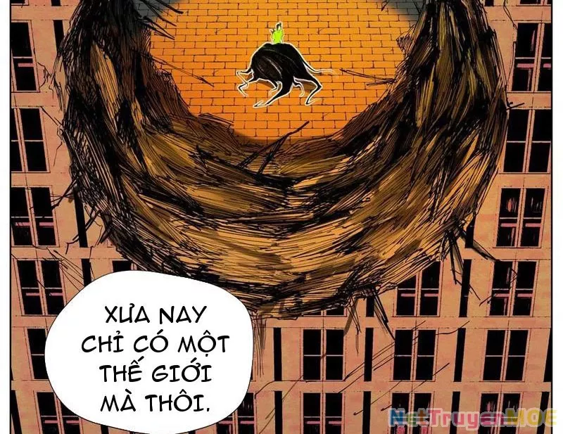 Tiên Hàng Đầu: Chapter 3