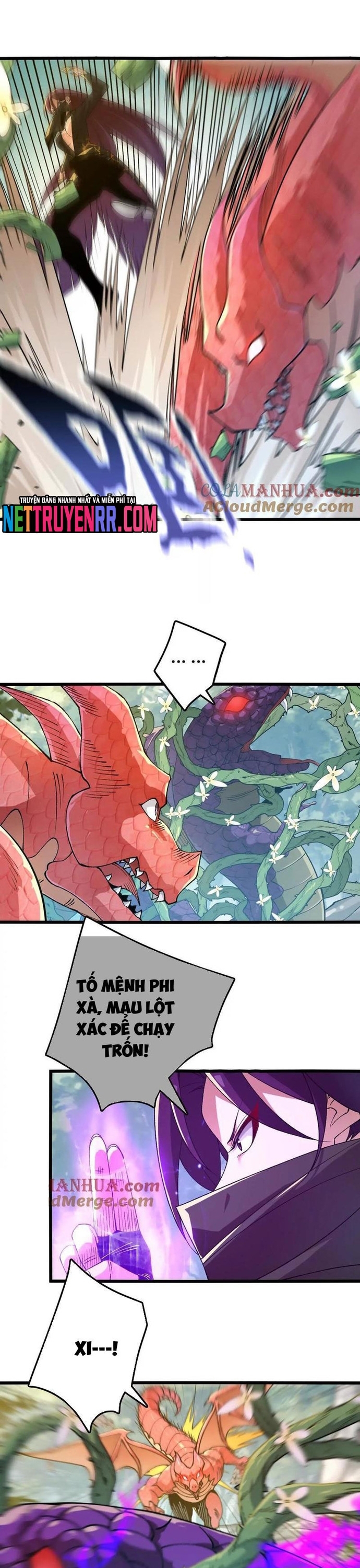 Tiến Hóa Đi, Caterpie: Chapter 107